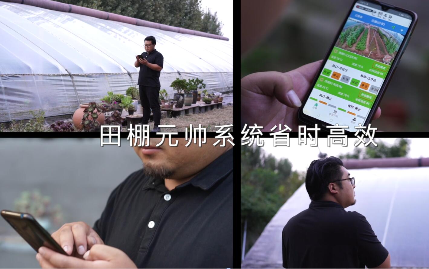 溫室大棚卷簾放風(fēng)一體控制系統(tǒng)